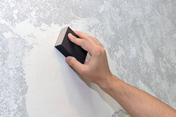 Best Forensic Mold Investigation  in Peoria, IL