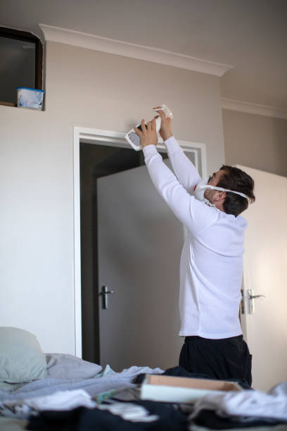 Best Black Mold Removal  in Peoria, IL