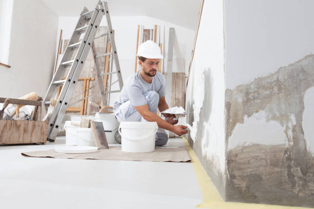 Best Water Damage & Mold Remediation  in Peoria, IL