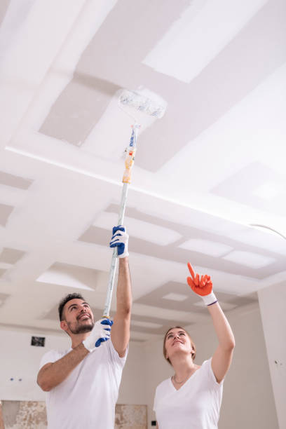 Best Environmental Consulting for Mold Prevention  in Peoria, IL