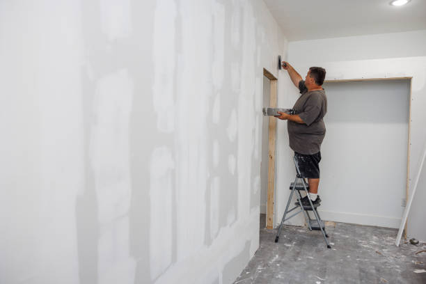 Best Industrial Mold Remediation  in Peoria, IL
