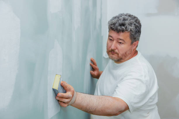 Best Emergency Mold Remediation  in Peoria, IL